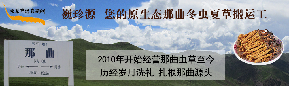 x(chng)Ĳ,Bx(chng)rx(chng)ݺrx(chng)Ĳ,l(f)x(chng)Ĳ݃r(ji)